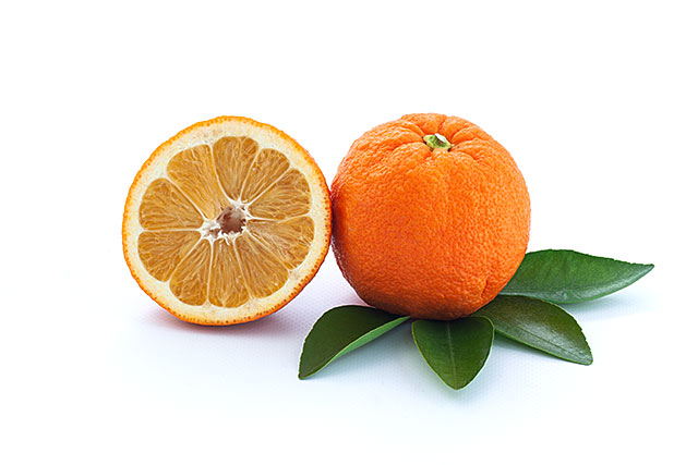 Naranja Amarga